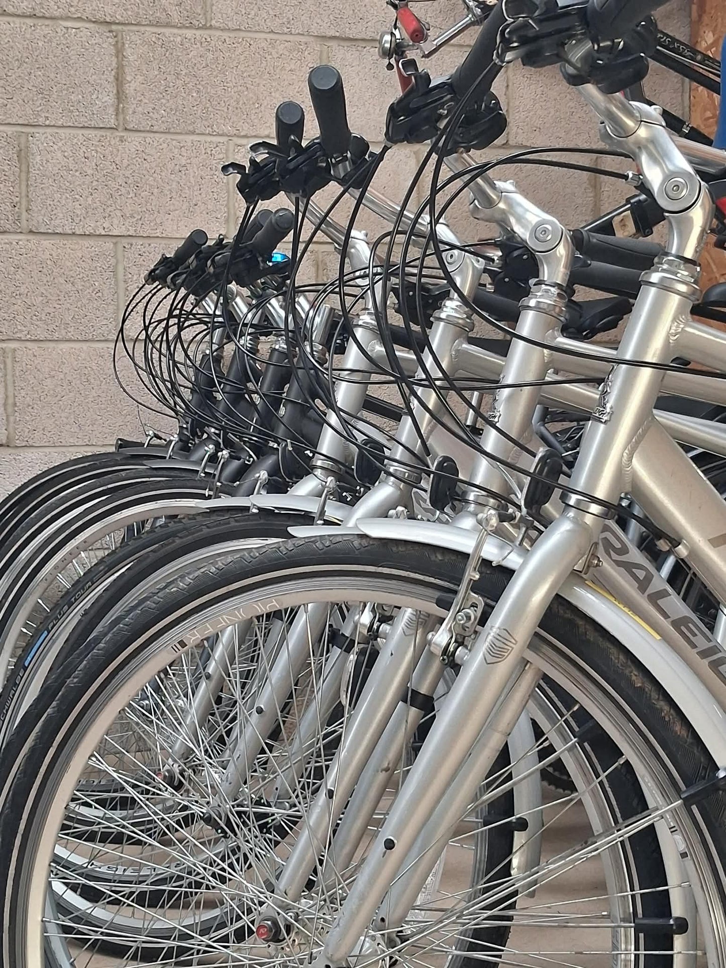 Adult Bike Hire