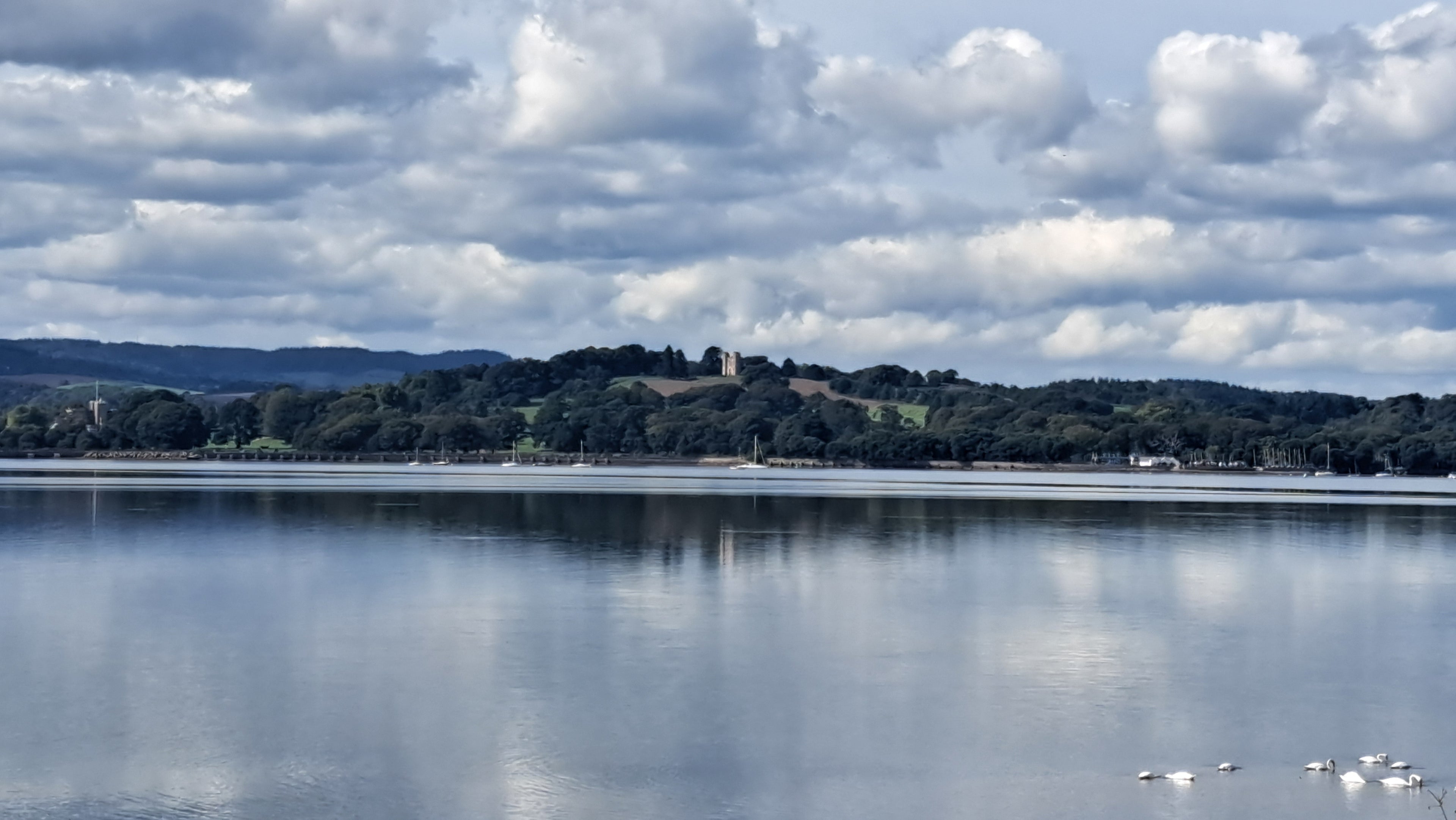 Exe Estuary and Powderham